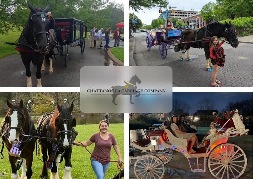 Chattanooga Carriage Company